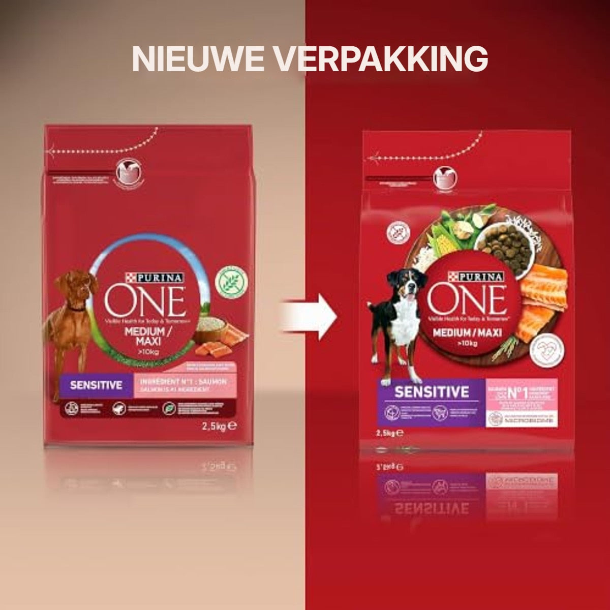 Purina One Medium/Maxi hondenvoer zalm 2,5 kg - 3-pack – foto 3
