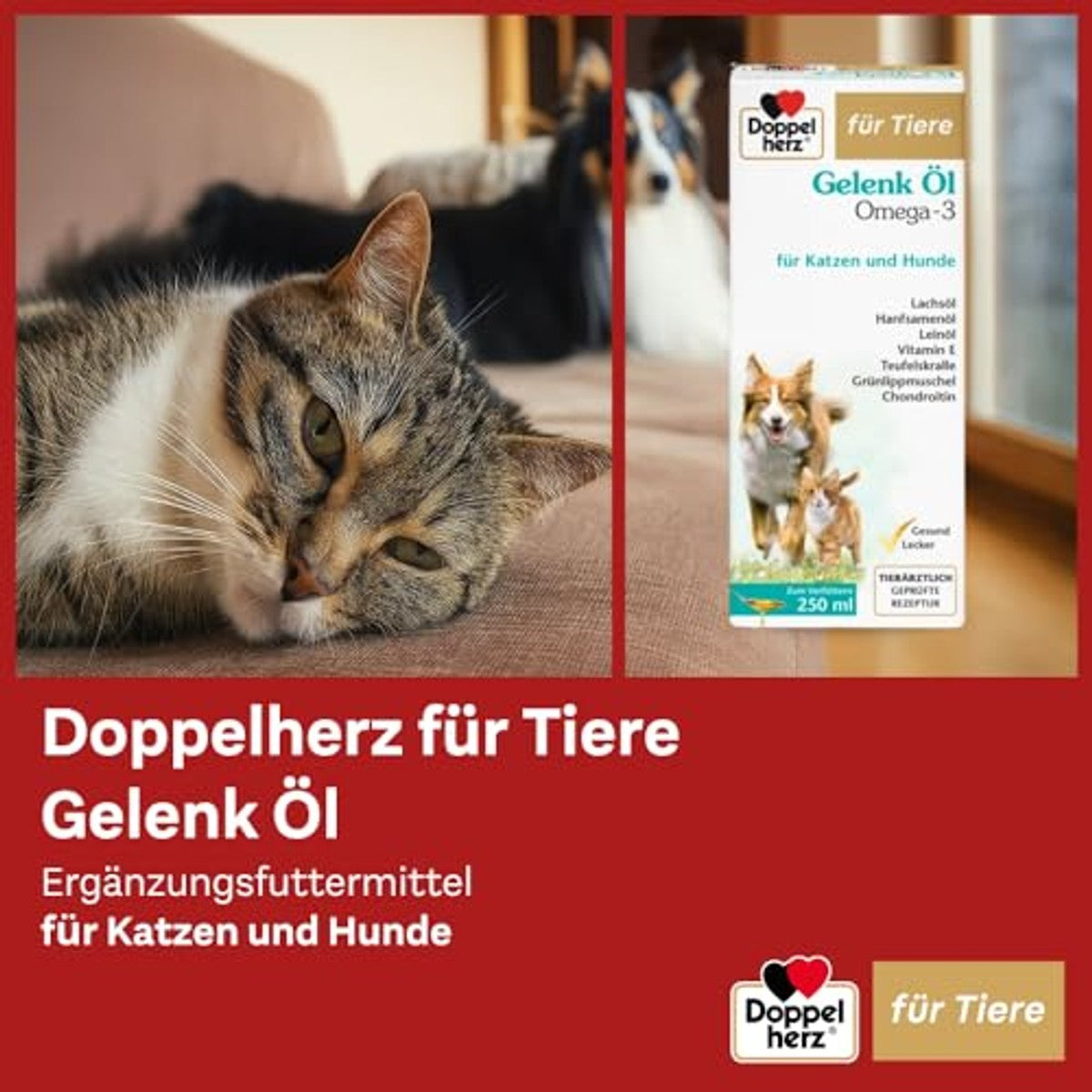 Doppelherz voor Dieren Gewrichtscomplex voor Katten 250 ml - 6-pack