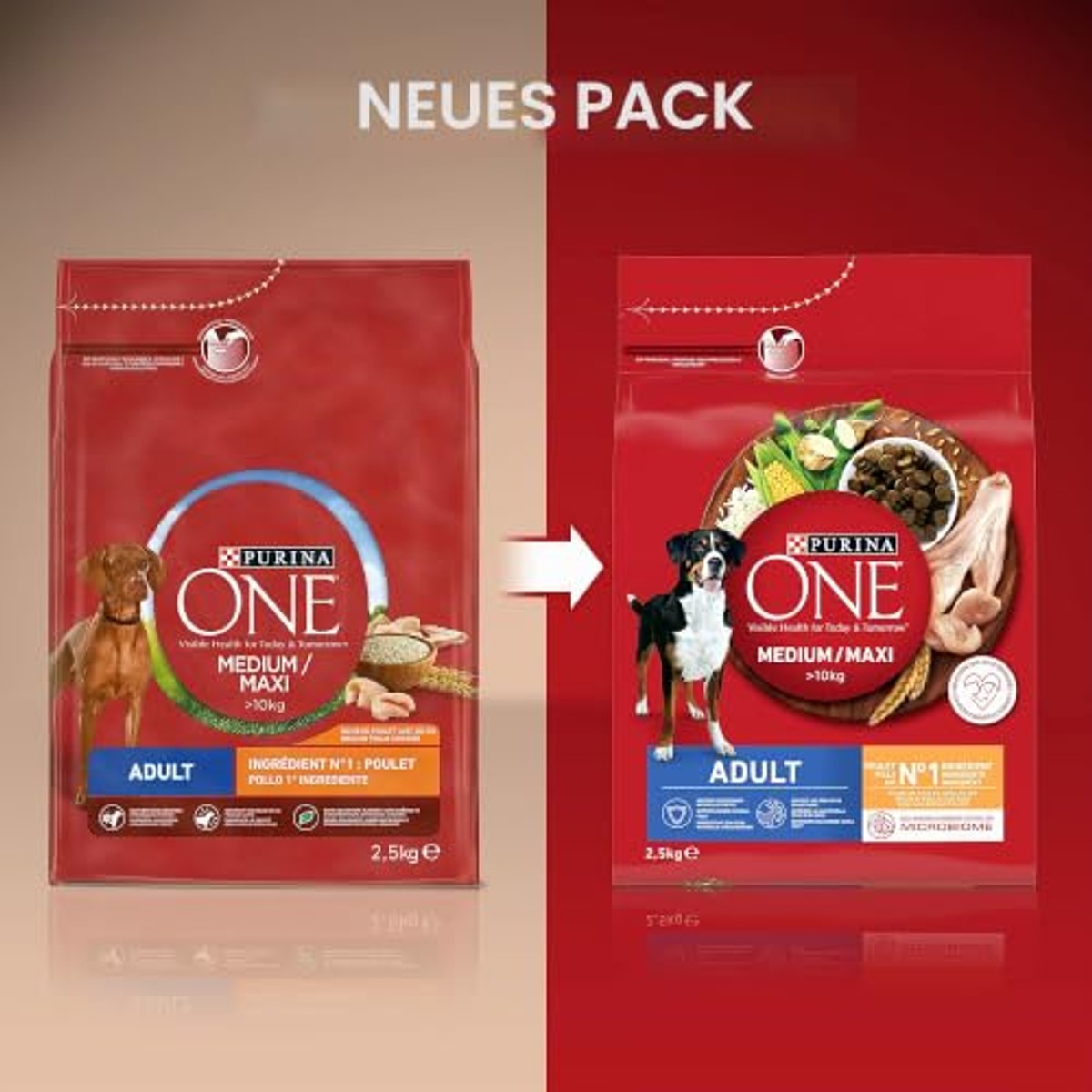 PURINA ONE Medium/Maxi Adult hondenvoer rundvlees 7 kg - 3-pack