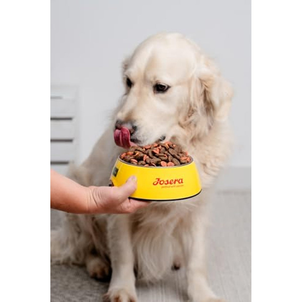 JosiDog Adult Sensitive droogvoer hond gevogelte 2,7 kg - 6-pack
