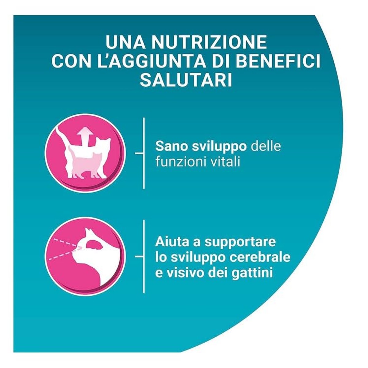 Purina One Bifensis Junior kroketten katten 1-12 maanden kip en granen 800 g – PURINA ONE