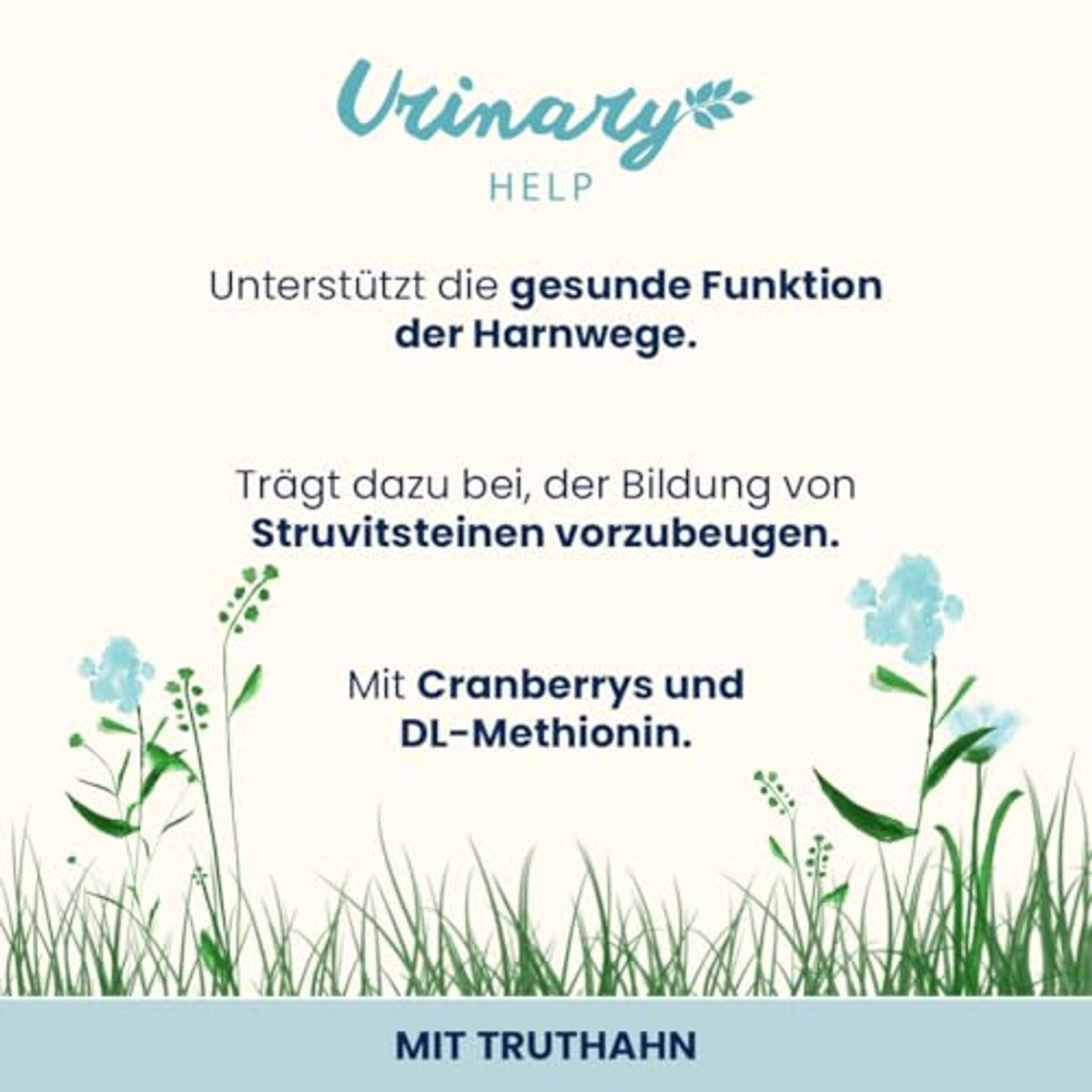 almo nature Functionele urinaire hulp, natvoer voor volwassen katten met kalkoen, ondersteuning voor de gezondheid van de urinewegen, 30 zakjes à 70 g – almo nature