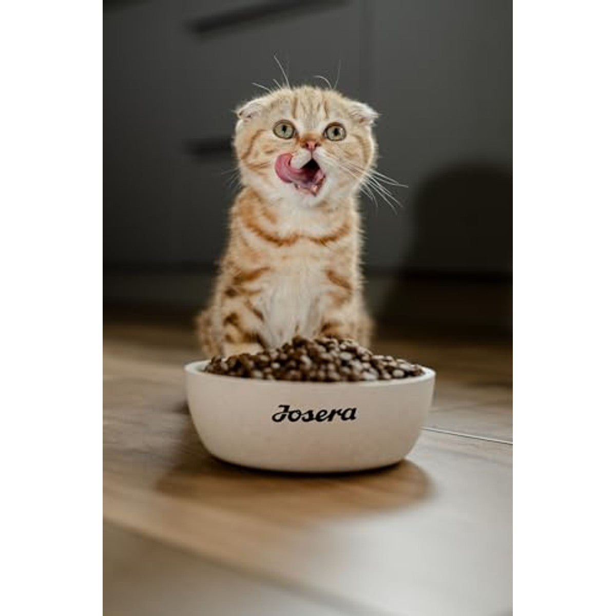 Josera Culinesse droogvoer kat adult zalmolie 10 kg - 3-pack
