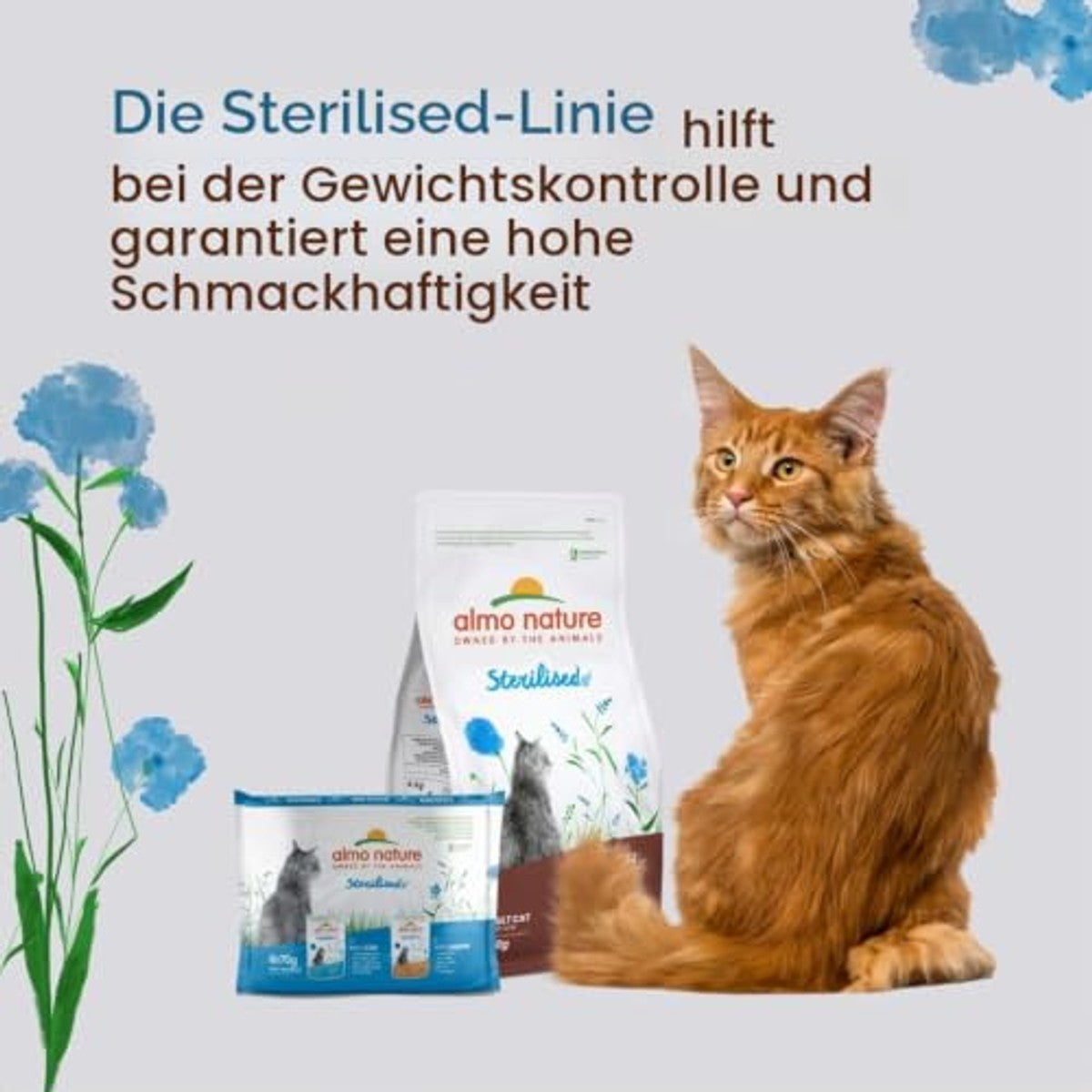 Almo Nature Functioneel – gesteriliseerd – vochtige voeding voor volwassen en oudere, gesteriliseerde of weinig actieve katten – met kabeljauw en kip – vetarm, hydraterend – 70 g (verpakking van 6 – almo nature