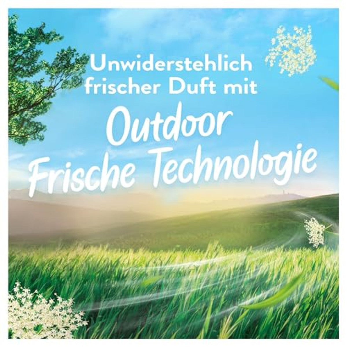 Lenor Luchtfrisse Landweide Wasverzachter 6 x 50 wasbeurten - Voordeelverpakking