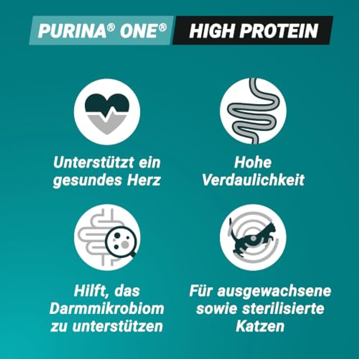PURINA ONE High Protein, droog kattenvoer, rijk aan kip, 6 x 900 g | Kattenvoer droog – PURINA ONE
