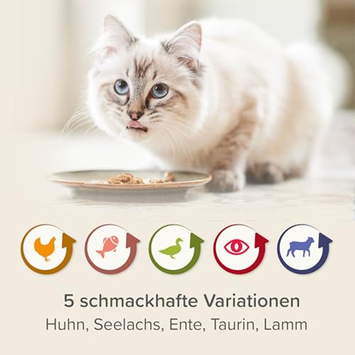 BEAPHAR Nierdieet Mix Pack - Dieetvoer voor katten met chronisch nierfalen - ter ondersteuning van de nierfunctie - 6 x 100 g – beaphar