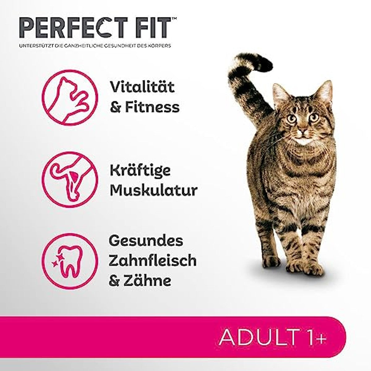 Perfect Fit Adult 1+ droogvoer kat Rundvlees 7 kg - 3-pack