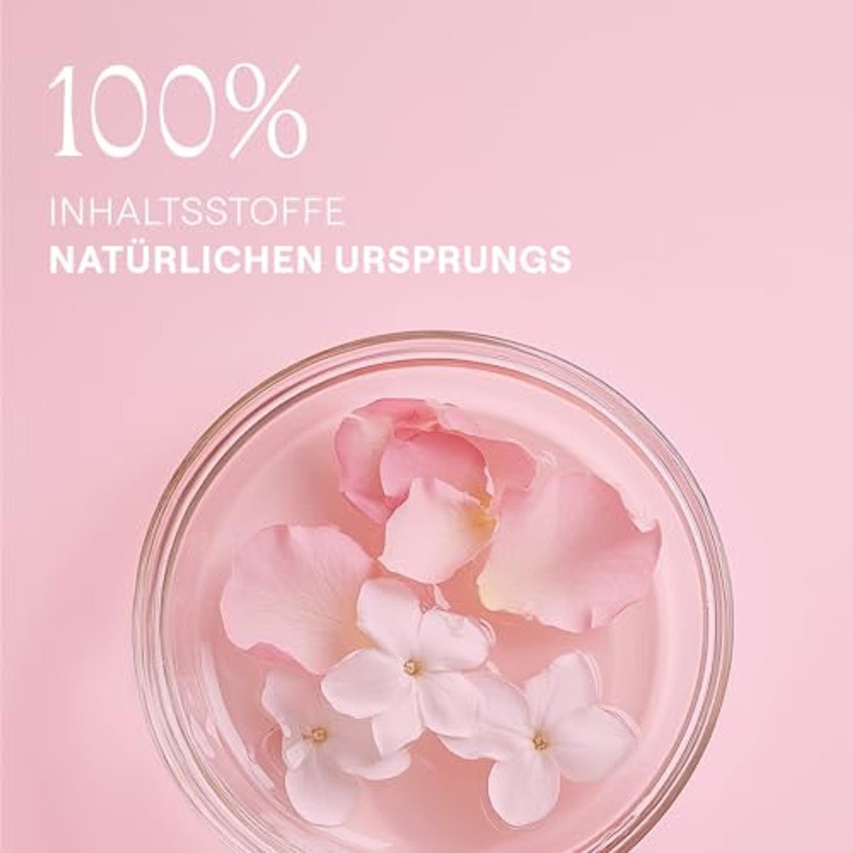 Weleda Wilde Rozen Body-olie 100 ml Droge Huid - 6-pack