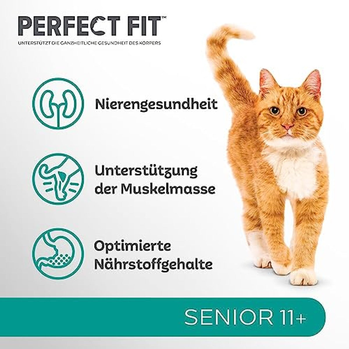 Perfect Fit Senior 11+ droogvoer kat kip 6 x 750 g - 3-pack