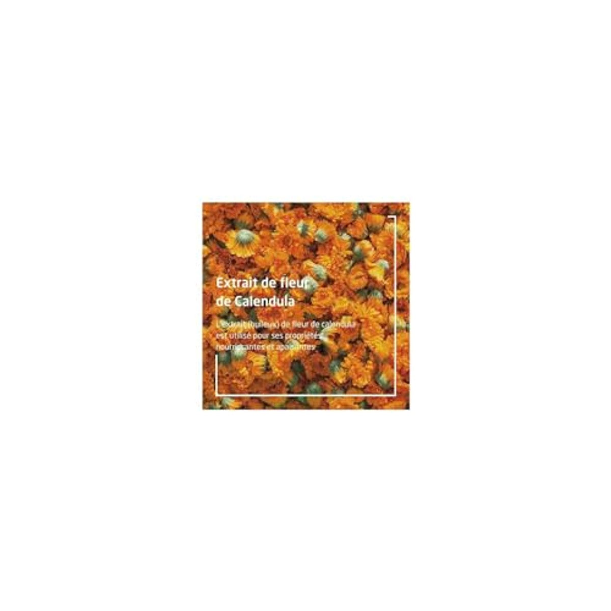 Weleda Biologische Kindertandgel zonder Fluoride 2 x 50 ml