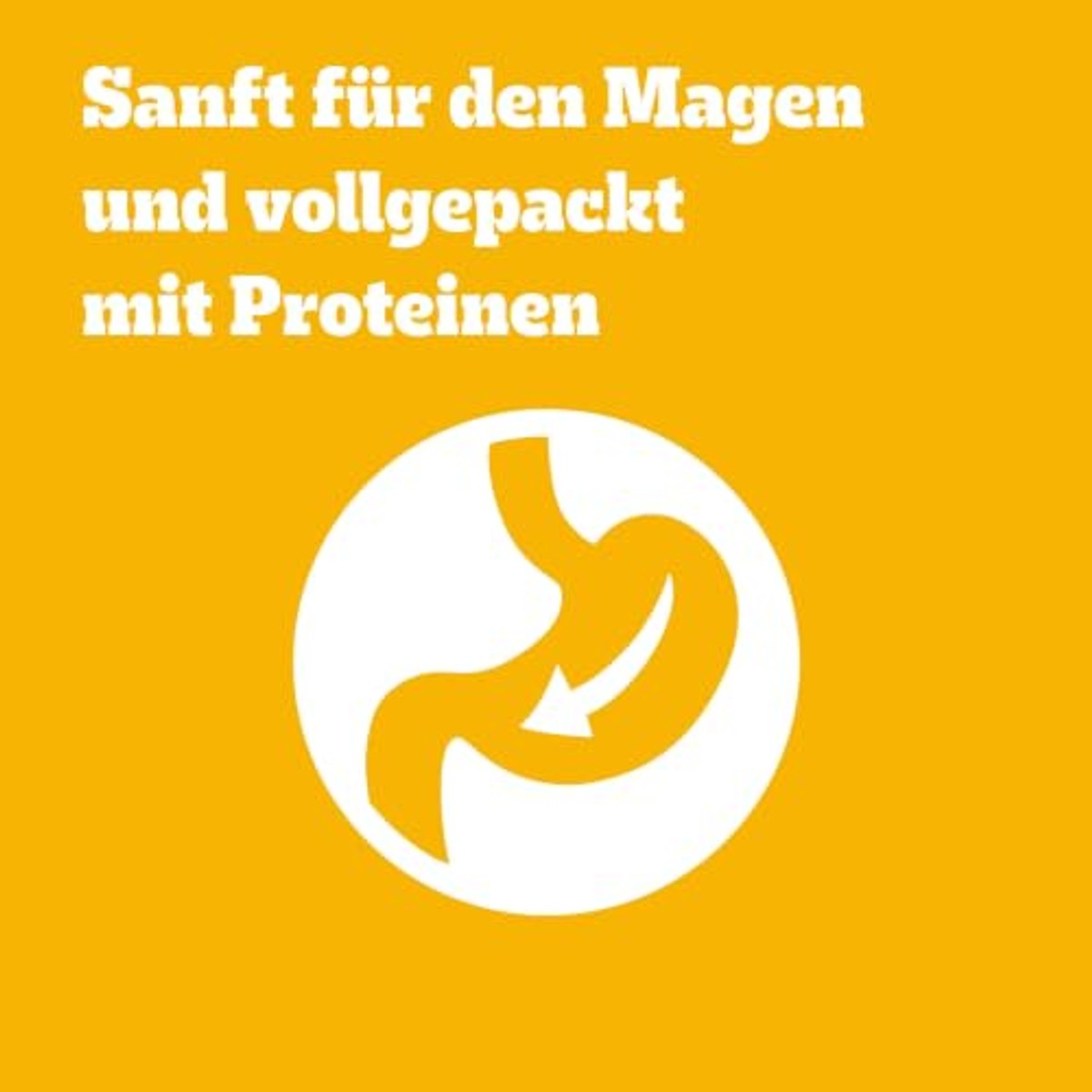 Pedigree Ranchos Fillets hondensnack kip 12 x 70 g - 6-pack