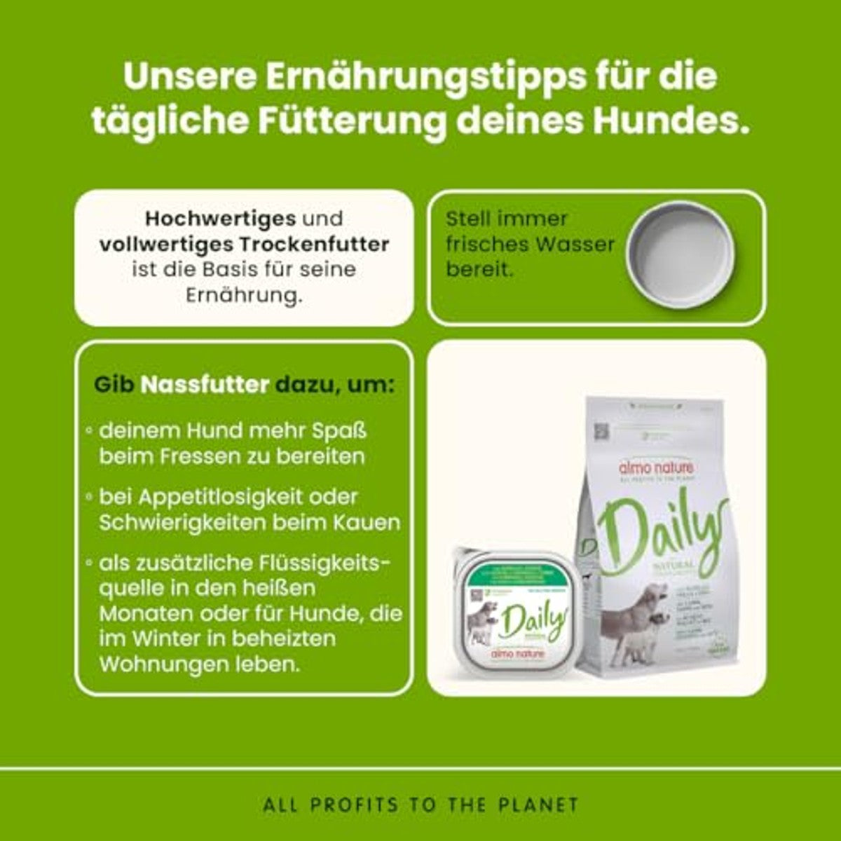 Almo Nature Daily Natvoer voor Honden met Lam en Aardappelen 9 x 300 g - 6-pack