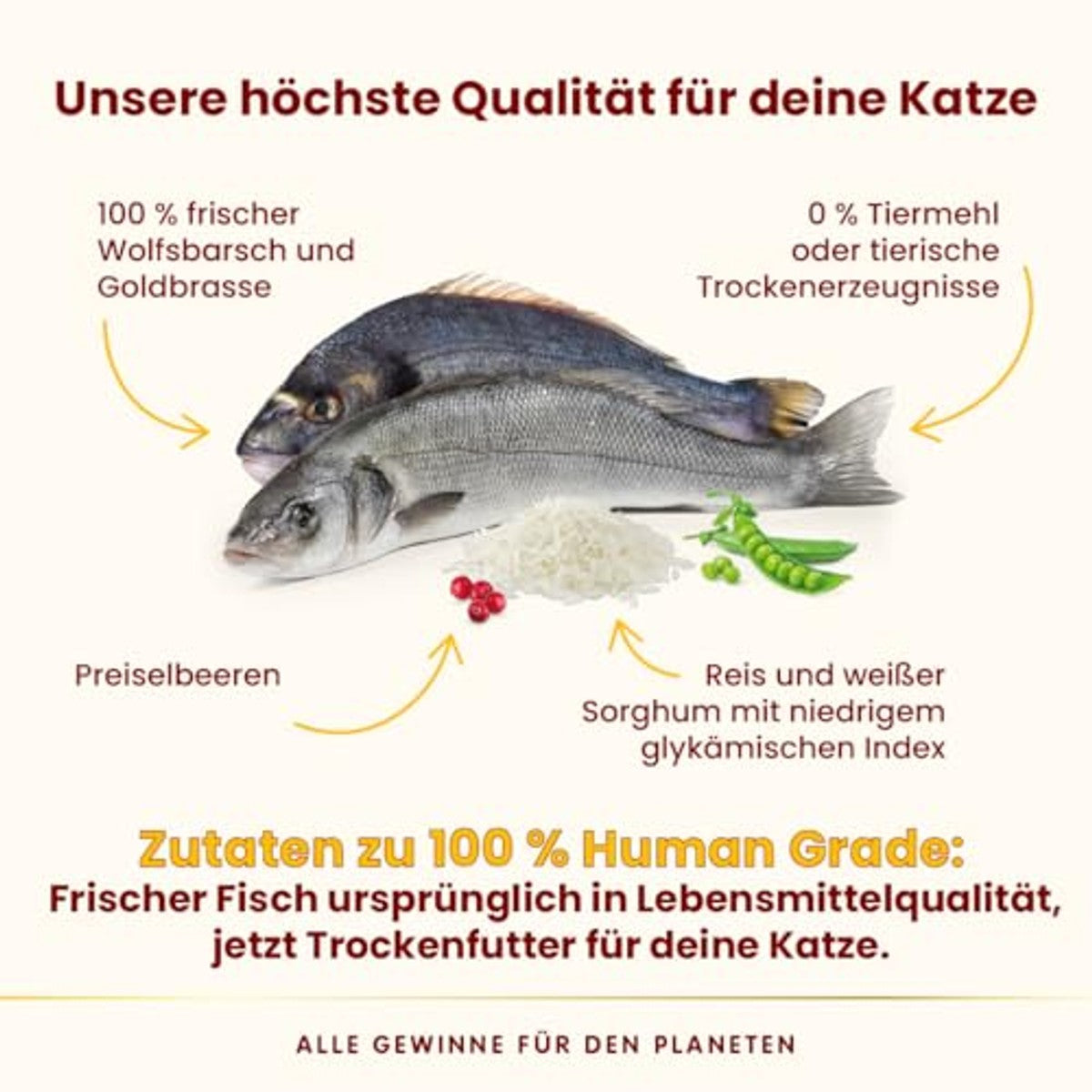 Almo Nature HFC Our Best Adult Gesteriliseerd Zeebaars en Zeebrasem 300 g - 3-pack