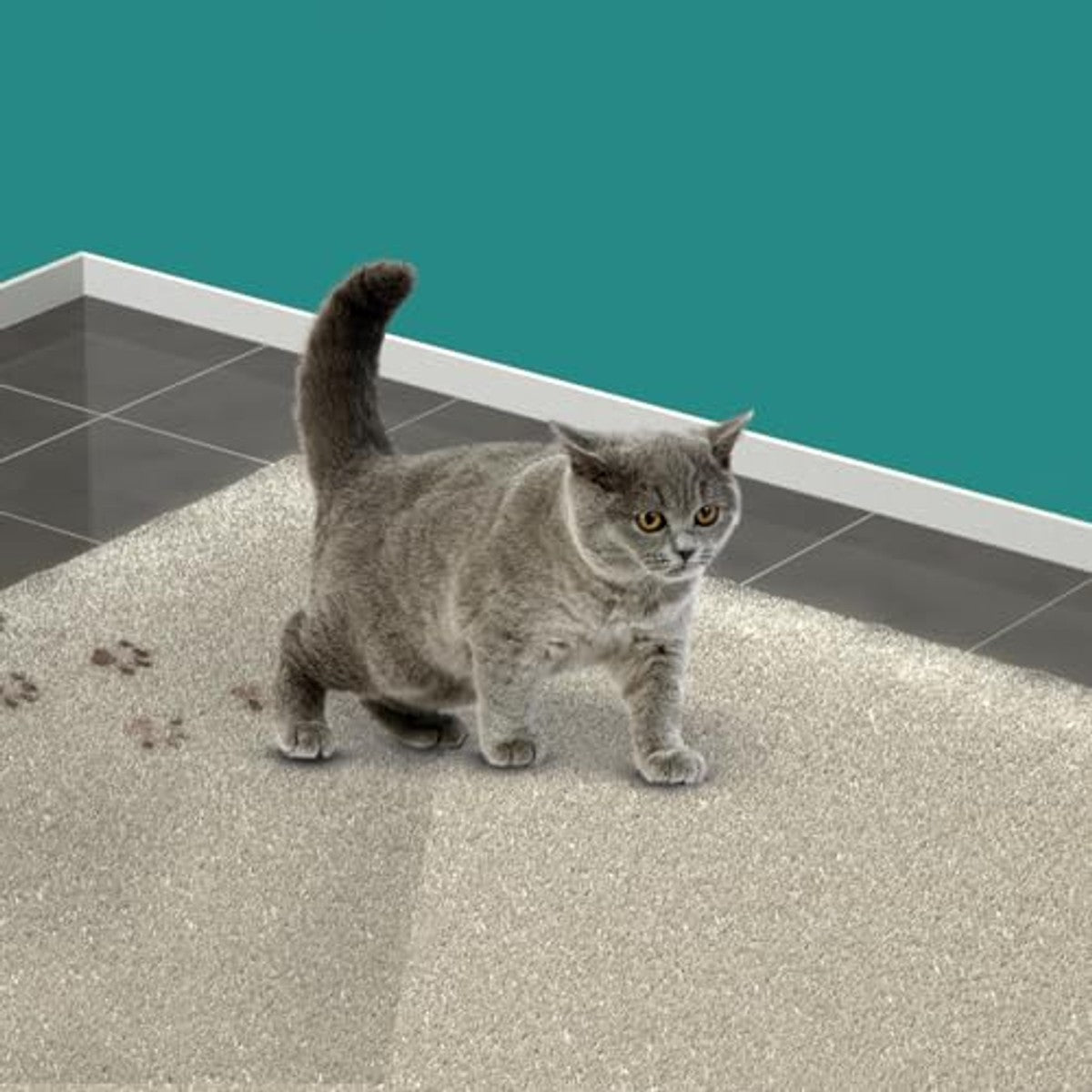 HG Vlek- en geurverwijderaar voor katten 3 x 500 ml - Voordeelverpakking