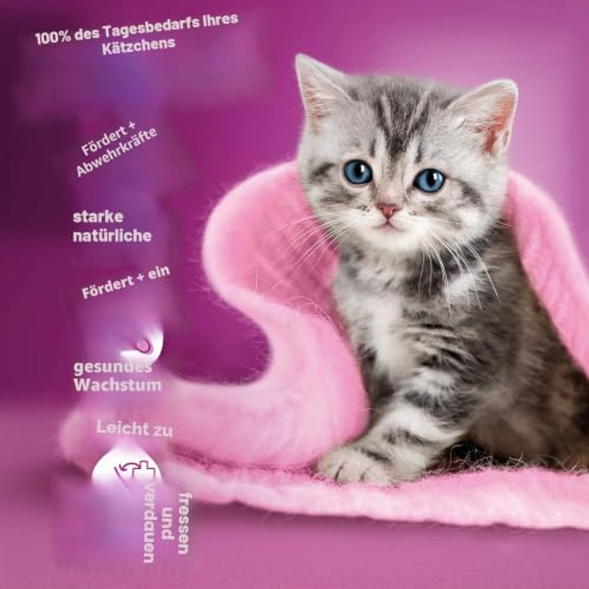 Whiskas Junior Classic natvoer kattenvoer 52 x 85 g - 3-pack