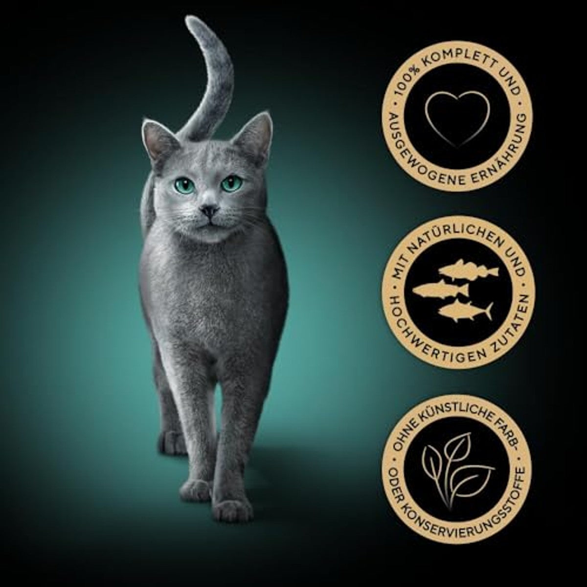 Sheba CATCARE Pouch Wet Fresh & Fine (Fish) Chunks IN Gravy Adult 50G Multipack Standard – Sheba