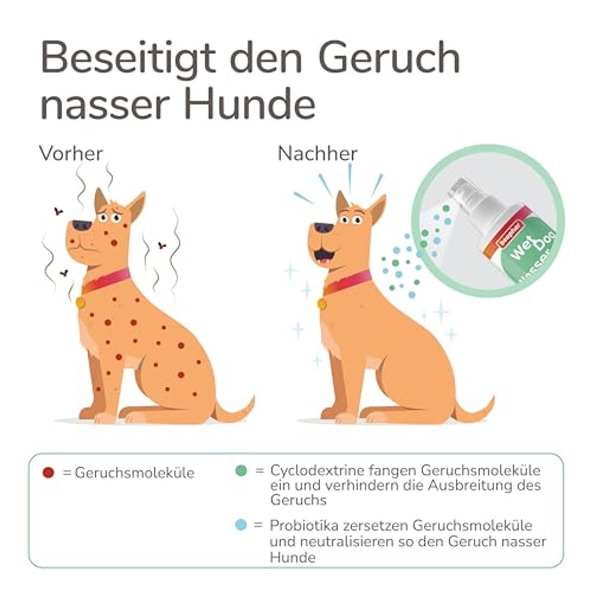 beaphar - Natte hondenspray - geurneutralisator voor natte hondenvacht - tegen hondengeur na regen en baden - zacht voor de huid - voor alle hondenrassen - 250 ml – beaphar