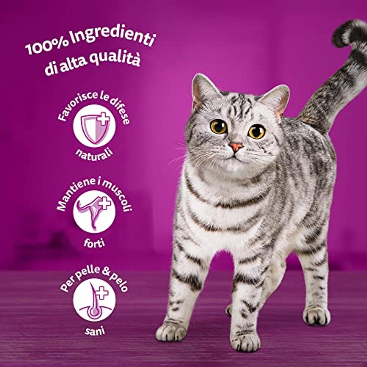 Whiskas Lunch vlees wit 7+ senior, natvoer voor katten, 12 verpakkingen met elk 6 zakjes x 50 g (72 stuks in totaal) – whiskas