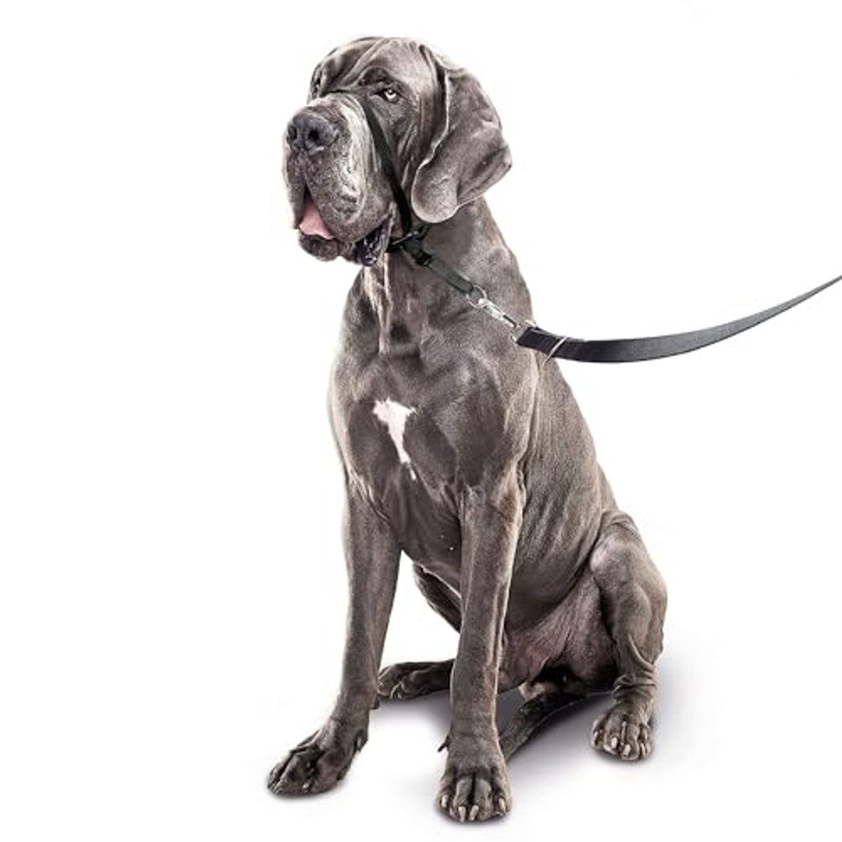 Beaphar Gentle Leader Hondenhalster Grote Rassen L Zwart - 6-pack