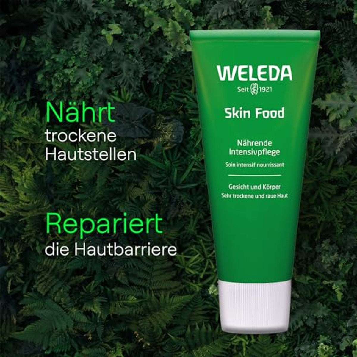 Weleda Biologische Kerstcadeauset Skin Food Body 2025 - 6-pack