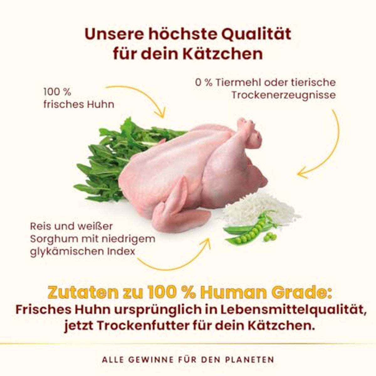 Almo Nature HFC Our Best - Kitten - droogvoer voor kittens - verse kip - voor evenwichtige groei, levensmiddelenkwaliteit, glutenvrij, monoproteïne - 300 g – almo nature