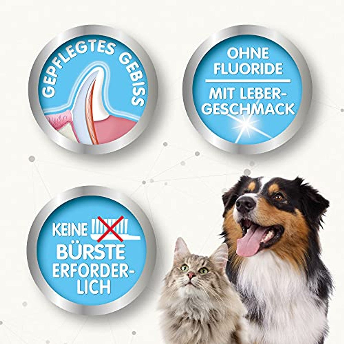 Beaphar Tandverzorging verstuiver hond en kat, 150 ml - 6-pack