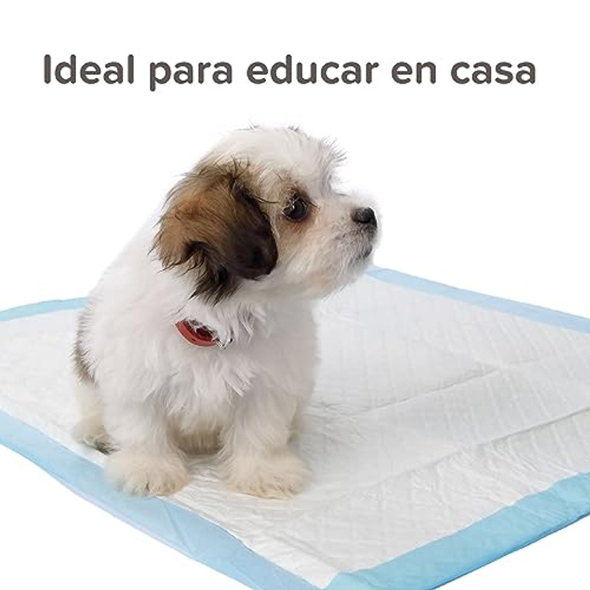 beaphar - Puppy Pads - Für Hunde Und Katzen - Hygienematten - Unterstützt Die Erziehung Zur Stubenreinheit - Extrem Saugfähig - 60x60 cm - 30 Stück - Weiß – beaphar