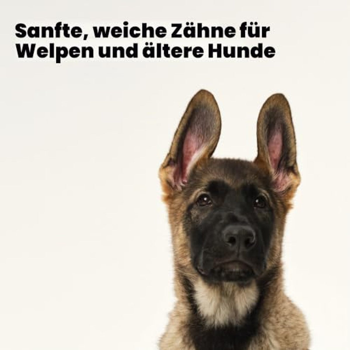 Tangle Teezer Pet Teezer Puppyborstel Lila - 3-pack