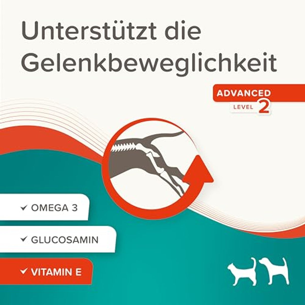 Beaphar BEAPHAR Flexifit pasta voor honden en katten, ondersteunt gewrichtsmobiliteit en vitaliteit, met vitamine C, glucosamine, omega 3 en vitamine E, 250 g – beaphar