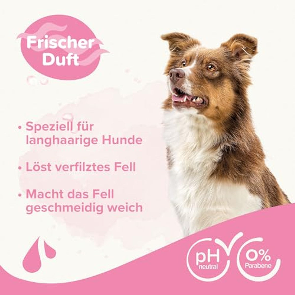 BEAPHAR - Ontvilten shampoo - Lost vervilten vacht op - huidvriendelijk - Met amandelolie en aloë vera - Ph-neutraal - 0% parabenen - Frisse geur - Veganistisch - 250 ml – beaphar