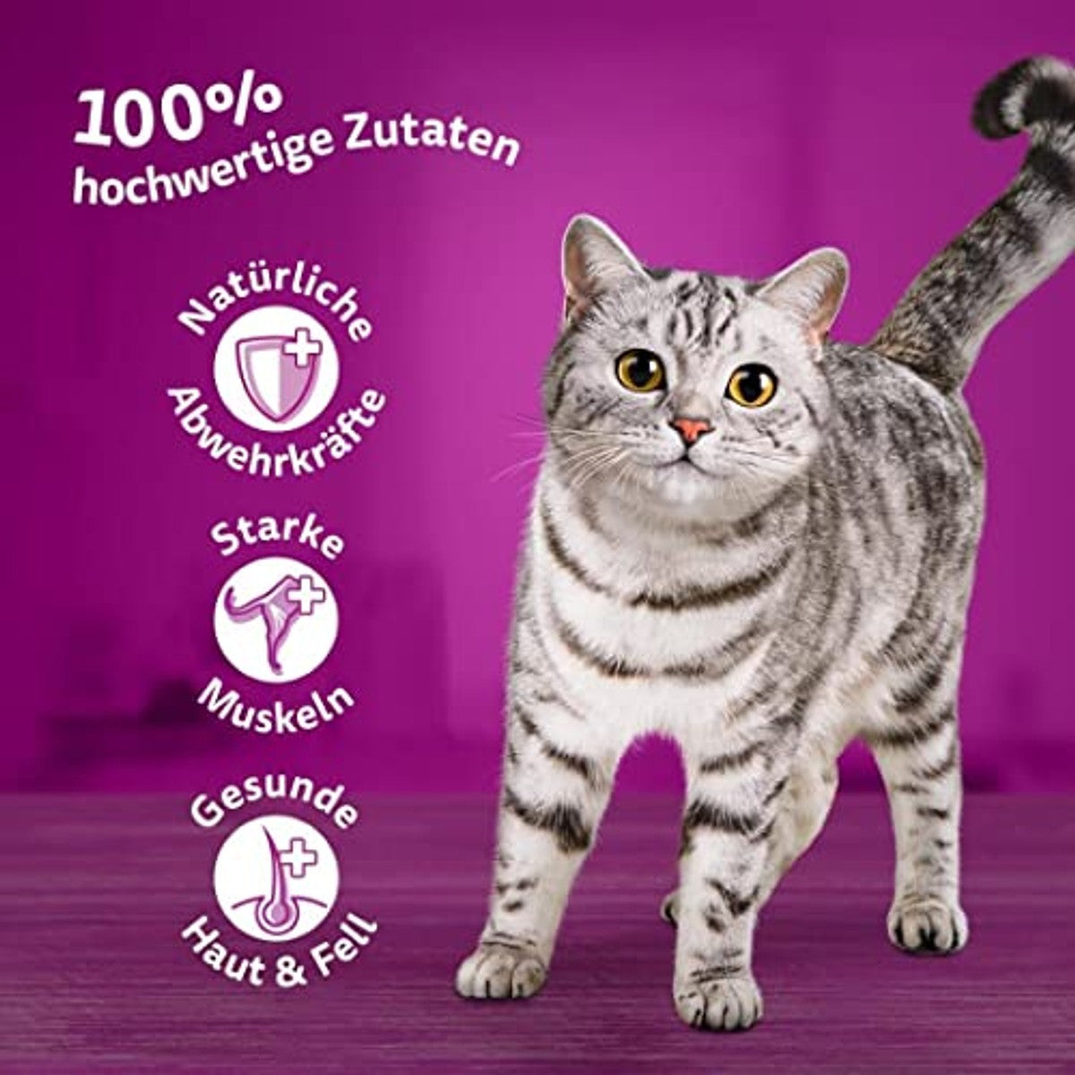 Whiskas natvoer kattenvoer gevogelte selectie in gelei 48 x 85 g - 3-pack