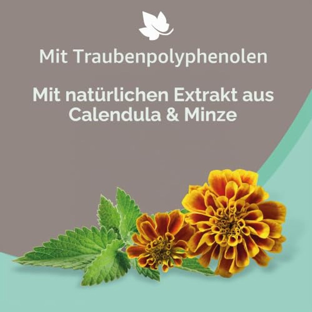 Beaphar Shampoo Hoge Cosmetische Hond Gevoelige Huid, één maat 250 ml 250 ml – beaphar