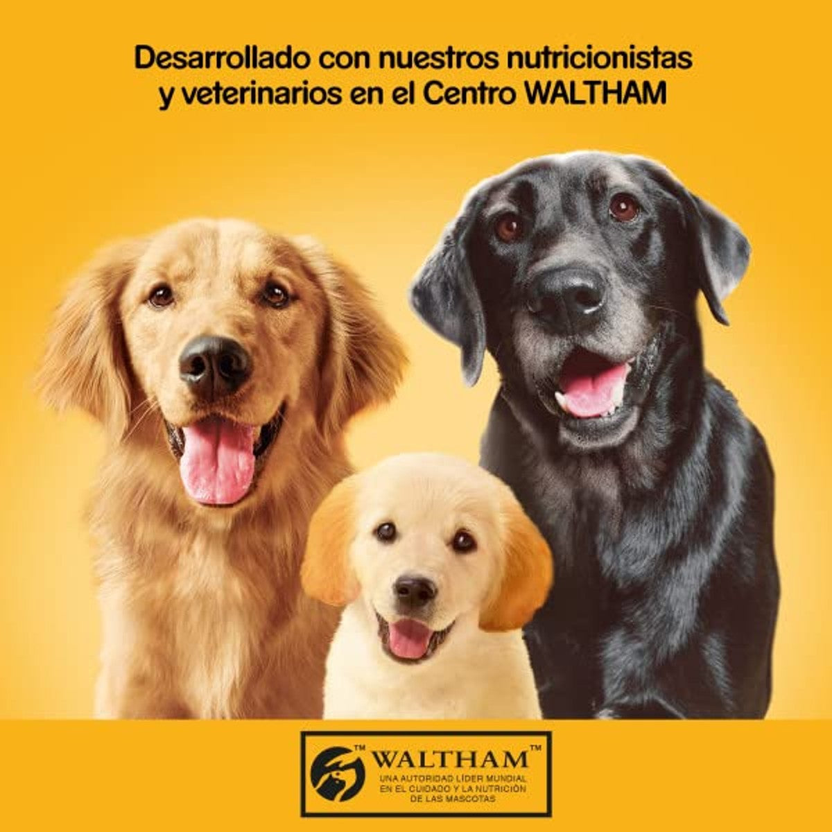 Pedigree - Vochtige voedselslang voor volwassenen honden, kalfsvleessmaak en vogels (verpakking van 20 x 300 g) – Pedigree