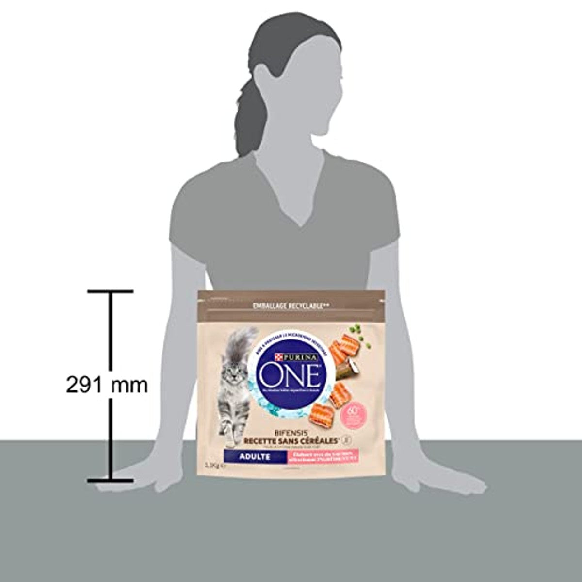 PURINA ONE Bifensis zonder granen | Droogvoer met zalm voor volwassen katten | zak van 1,1 kg – PURINA ONE