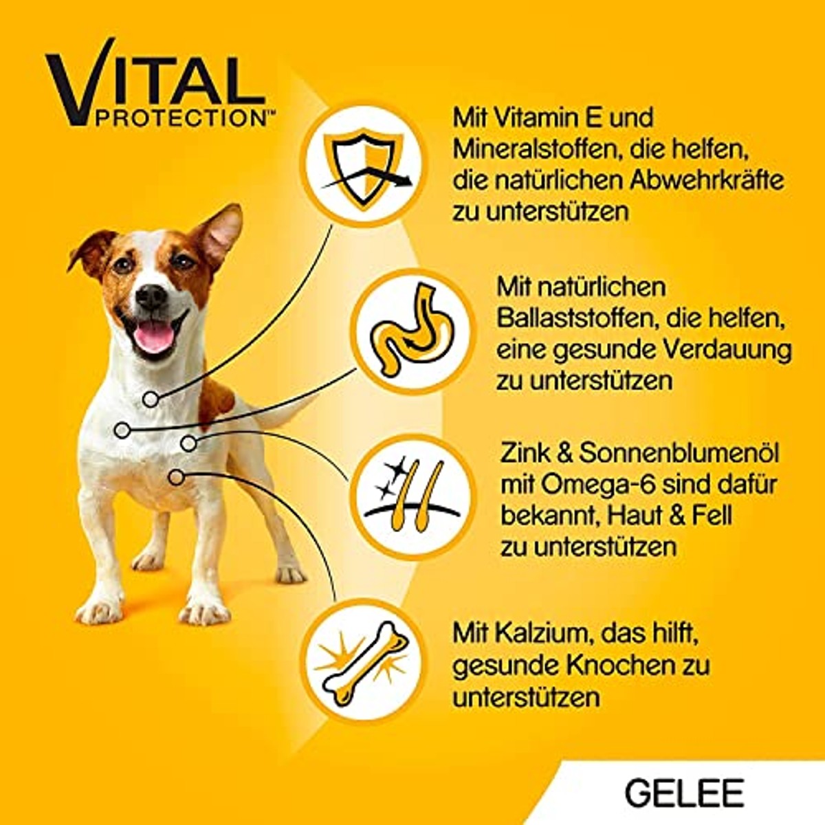 Pedigree Mars Portiezak Multipack Favourite 4 soorten in gelei met kip, rund+lever, gevogelte, lams+lever 4 x 12 x 100 g – Pedigree