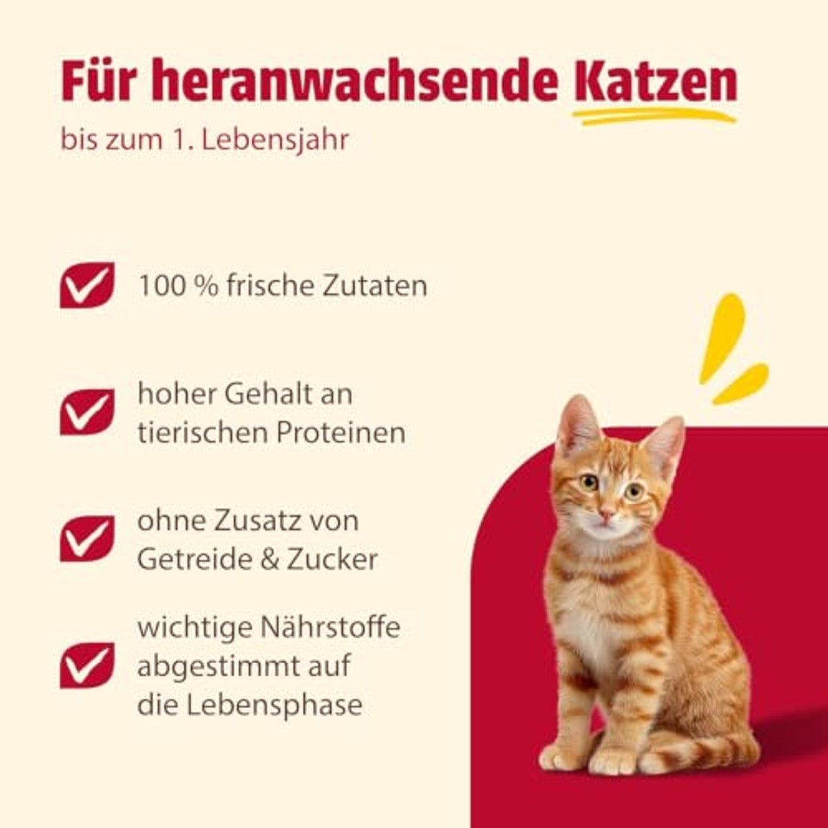 Animonda Carny Kitten natvoer kattenvoer rundvlees+kip+konijn 12 x 400 g - 3-pack
