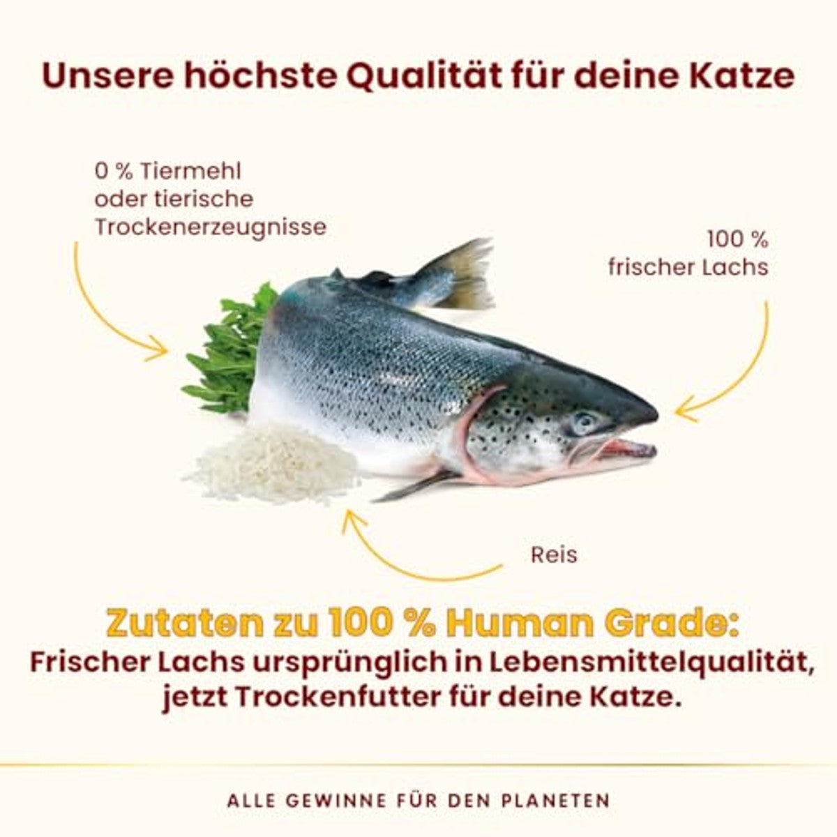 Almo Nature HFC Our Best Highly Appetizing Droogvoer Zalm 1,2 kg - 3-pack