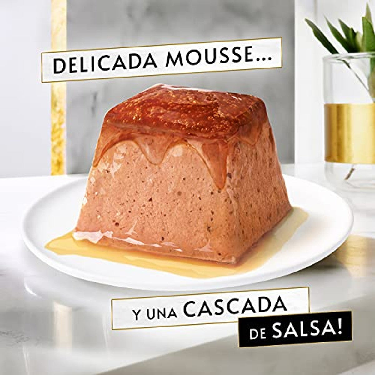 Gourmet Revelations Mousse met saus natvoer kattenvoer Kip 24 x 57 g - 6-pack