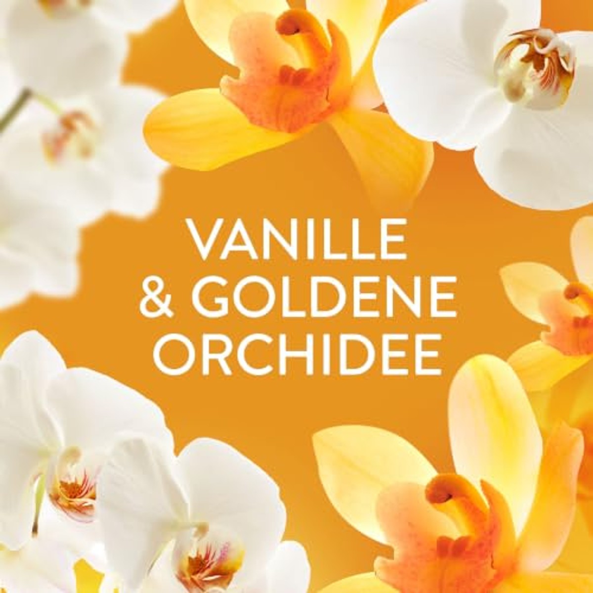 Lenor Wasparfum Golden Orchidee 495 g verpakking van 2 – Lenor