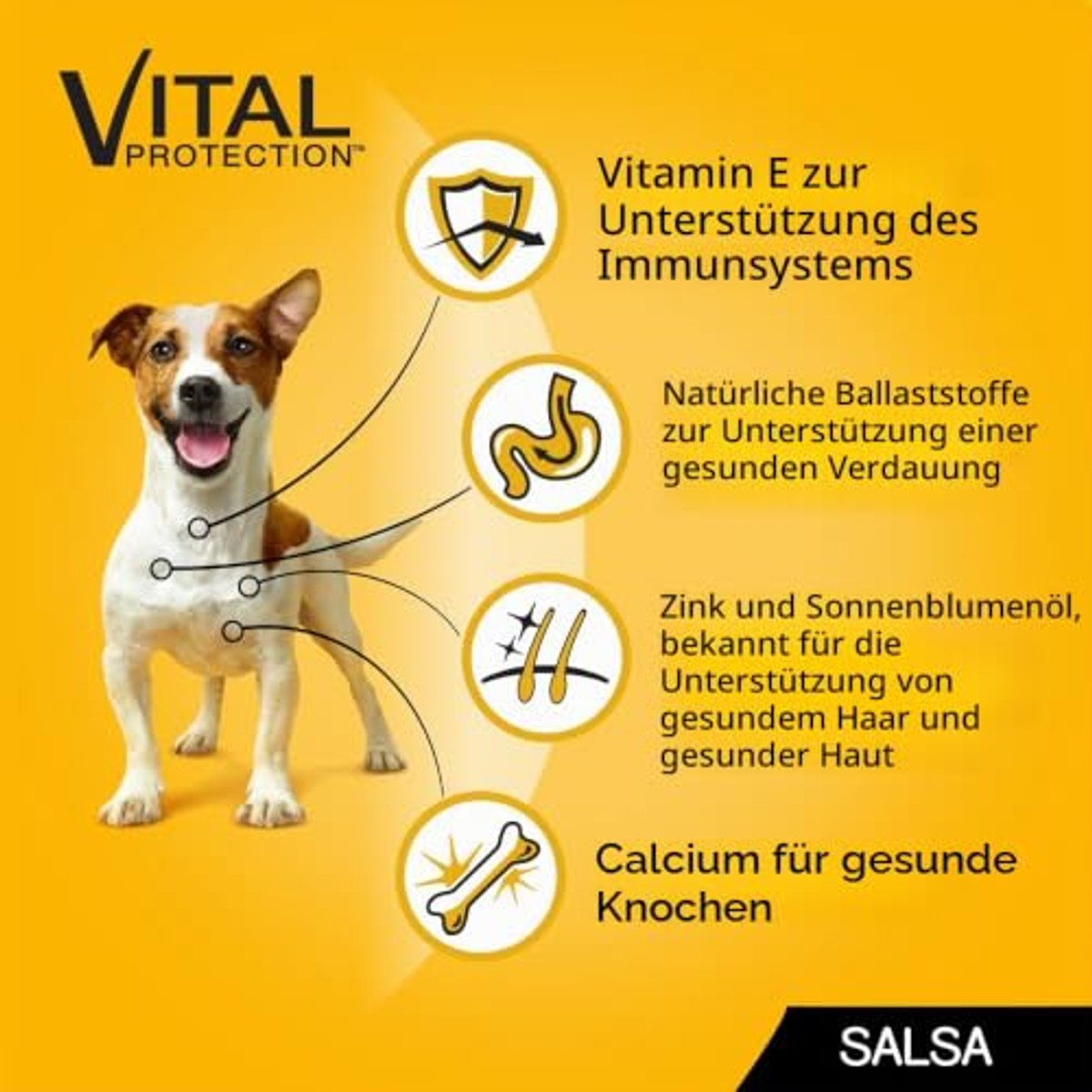 Pedigree Natvoer voor honden met gemengde smaken in saus, multipack (4 x 12 zakjes x 100 g) – Pedigree