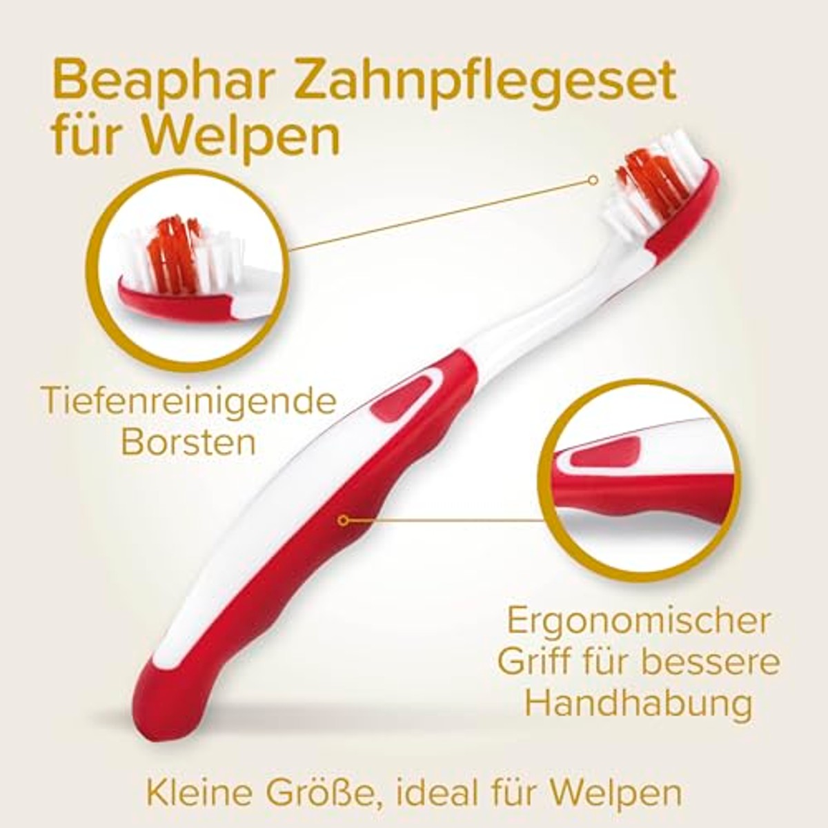 Beaphar tandverzorgingsset voor puppy's – beaphar