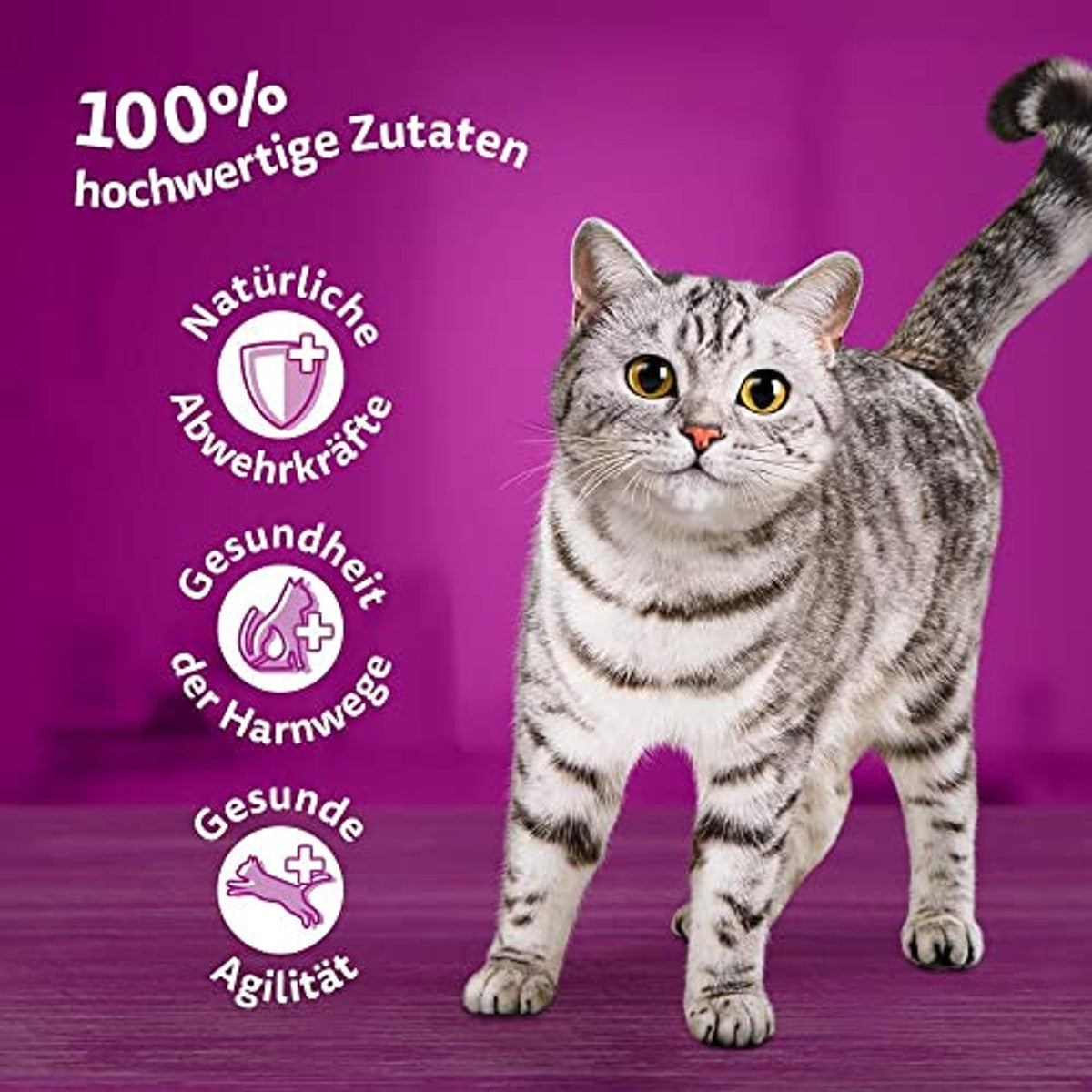 Whiskas Senior 7+ natvoer kattenvoer gemengde selectie 84 x 85 g - 3-pack