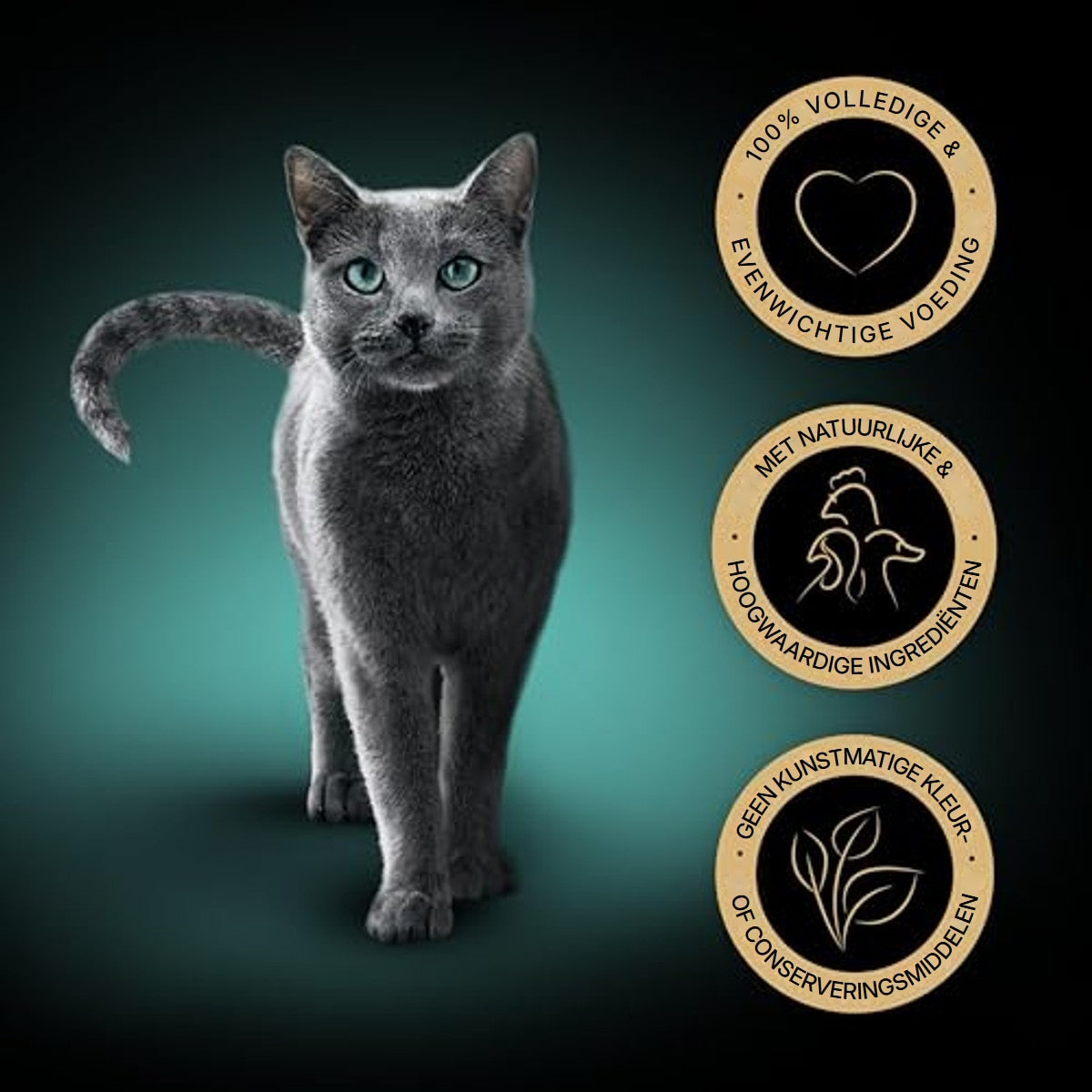 Sheba Selection natvoer kattenvoer gevogelte variatie 40 x 85 g – foto 4