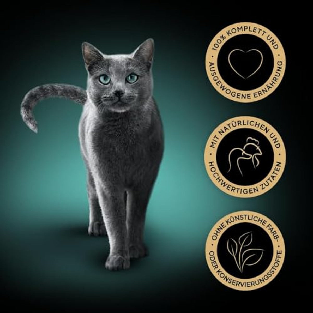 Sheba Classics Kattenvoer, paté met fijne stukjes, voor elke dag – Sheba