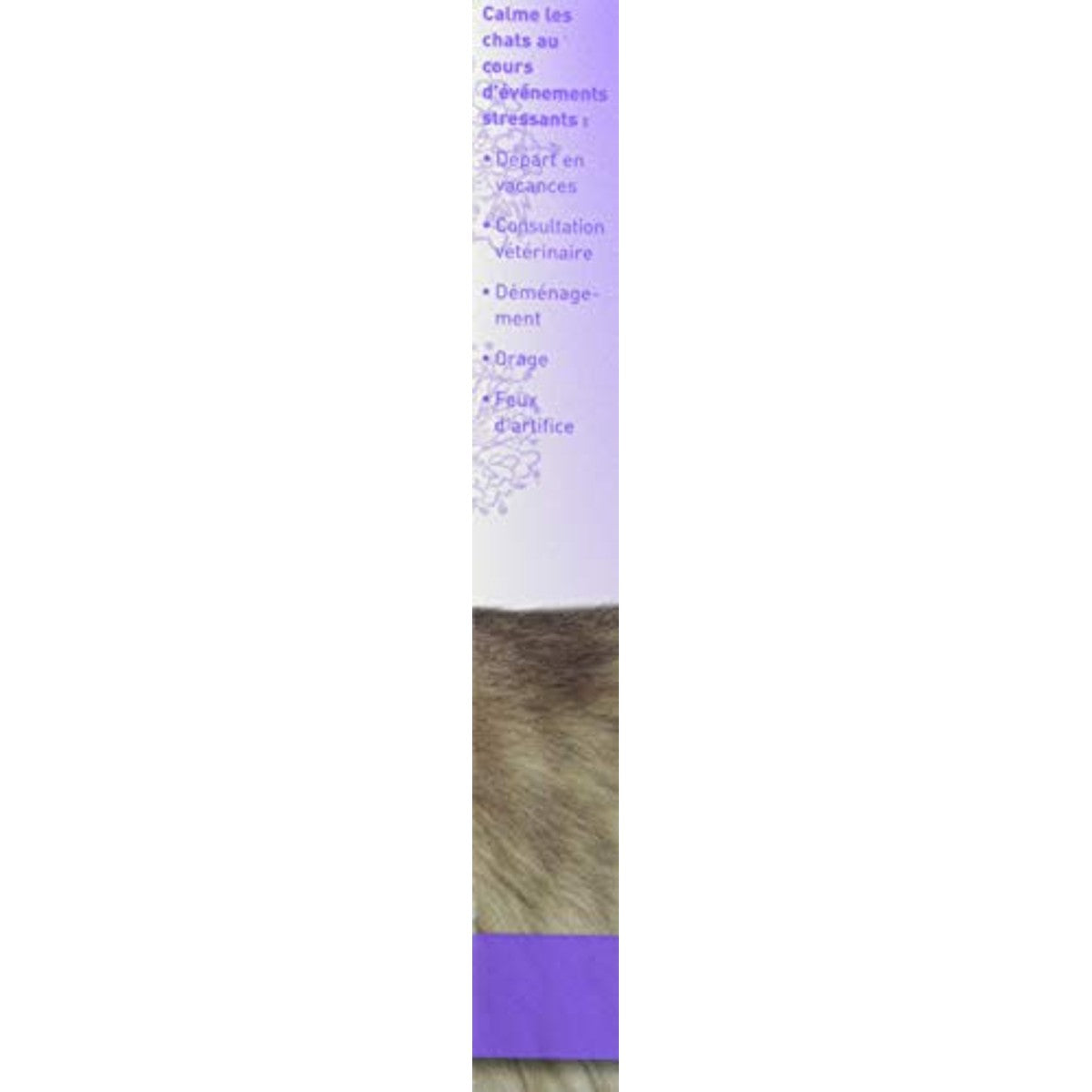 BEAPHAR NO Stress Valeriaan kattenhalsband, kalmerend, vermindert stress en gedragsproblemen zonder verslaving of slaperigheid, 1 halsband, 35 cm, 4 weken – beaphar