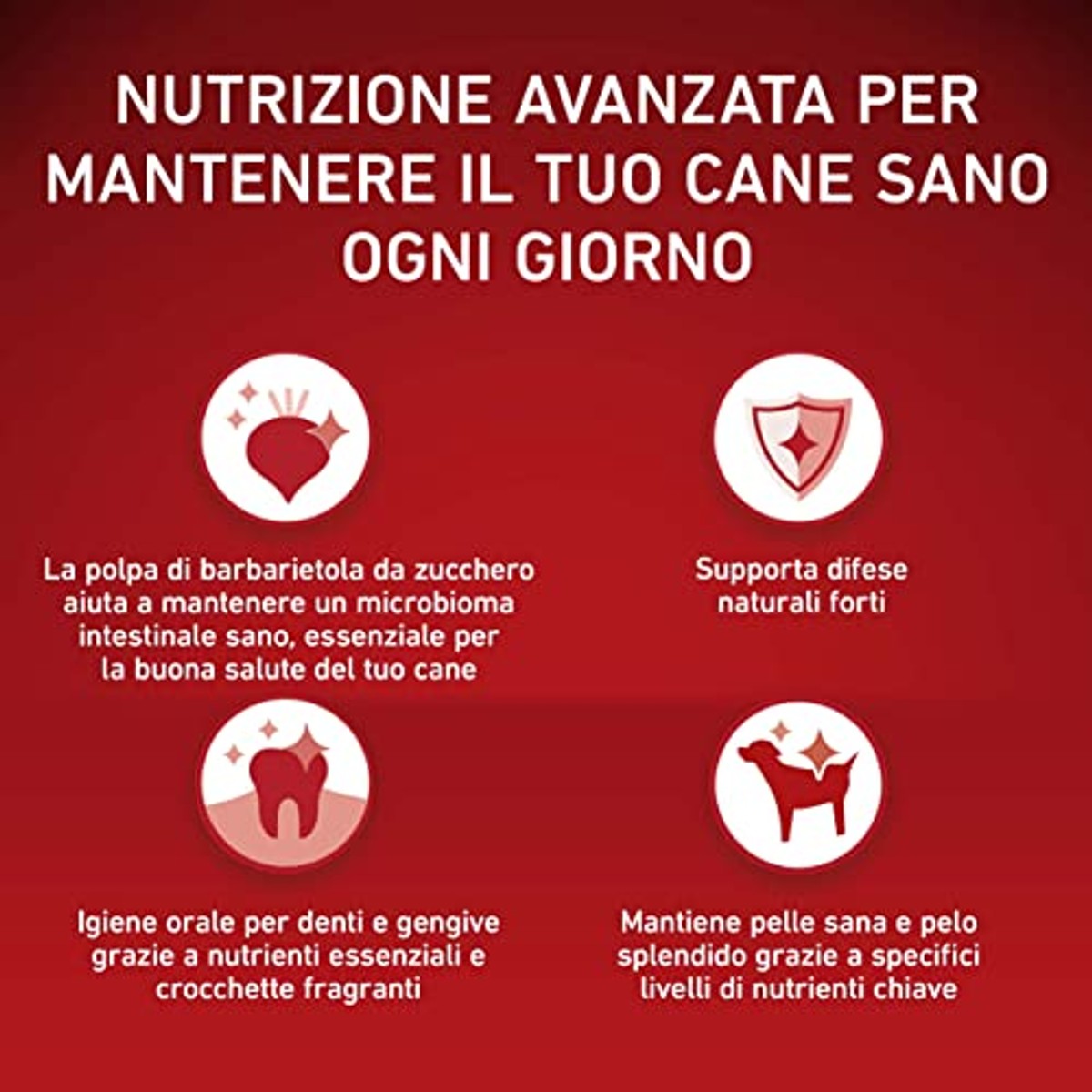 Purina One Mini hondenvoer rundvlees 8 x 800 g - 3-pack
