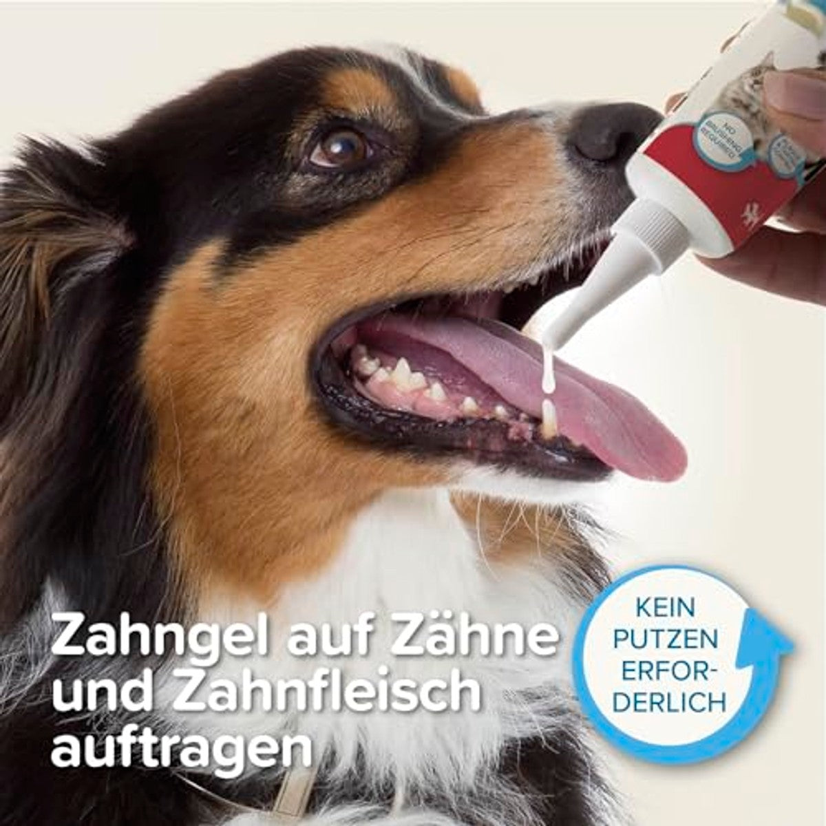 Beaphar tandgel voor hond en kat 100 g – foto 4