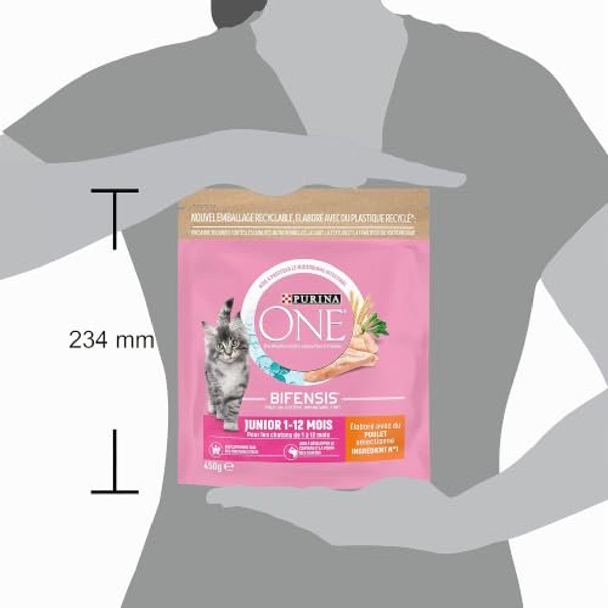 Purina One Junior droogvoer kat kip & volkoren 450 g - 6-pack
