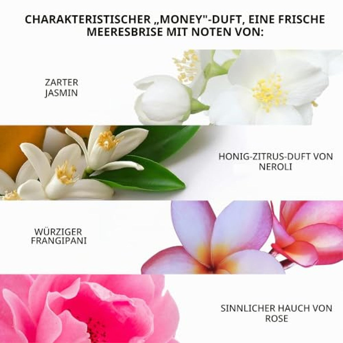 Color Wow Money Laundering Vochtshampoo 250 ml - 6-pack